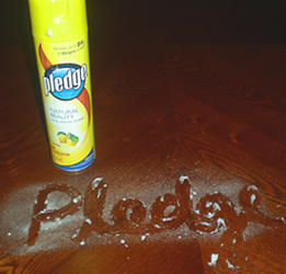 pledge2