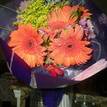 hintflowers