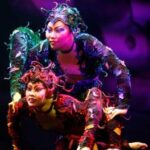 cirquedreams