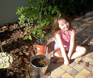 garden2