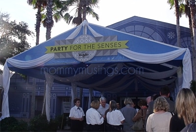 partyforthesenses2