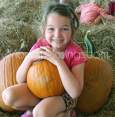 pumpkinpatch pumpkinpatch