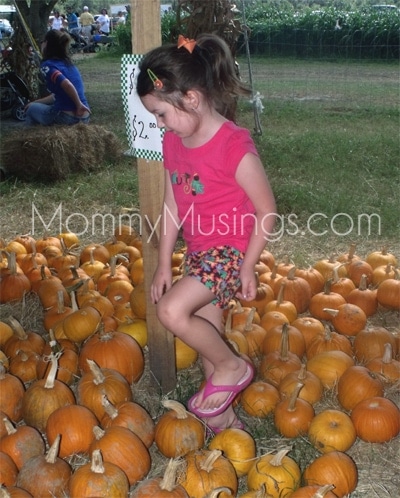 pumpkinpatch2 pumpkinpatch2
