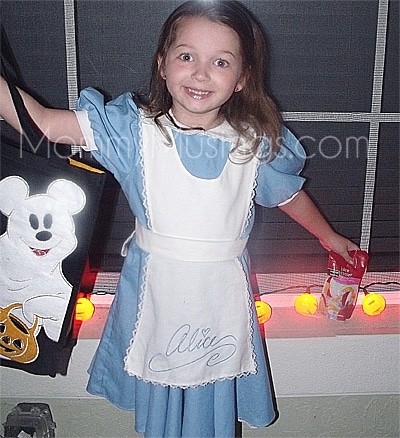 alicewonderland alicewonderland