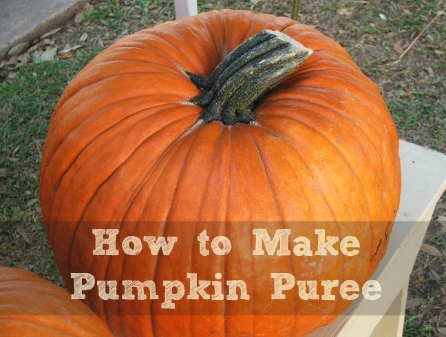 How to Make Pumpkin Puree