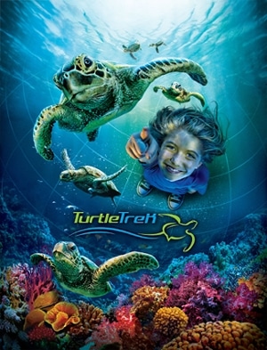turtletrekseaworld