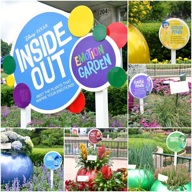 inside-out-garden