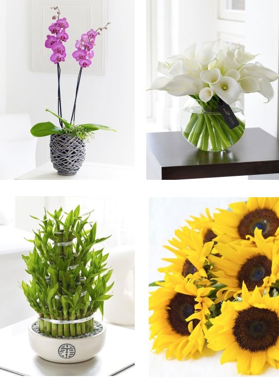 flowers