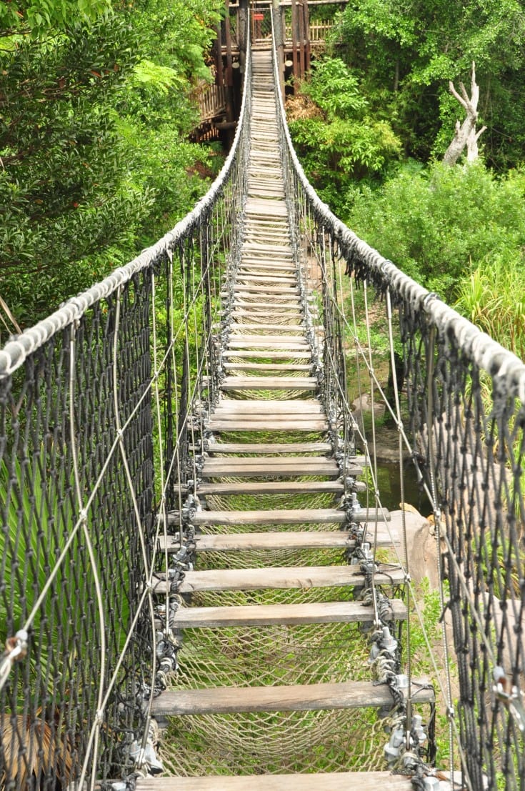 Wild Africa Trek Rope Bridge