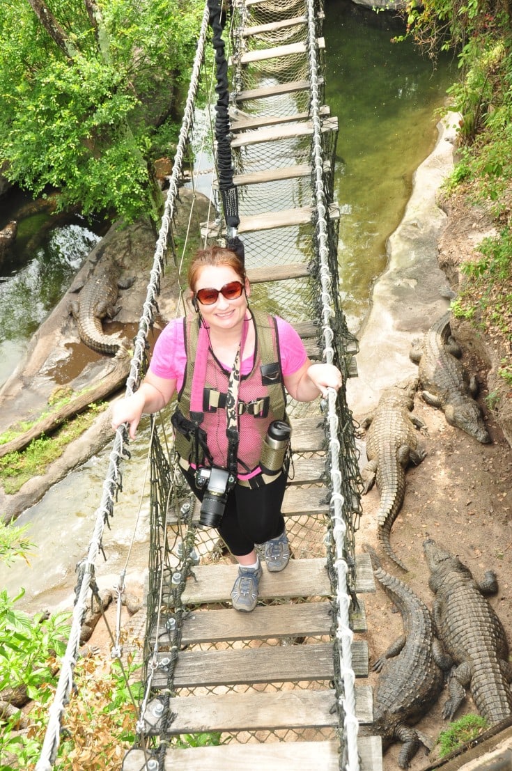 Disney Wild Africa Trek Rope Bridge