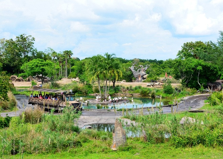 wild africa trek animal kingdom