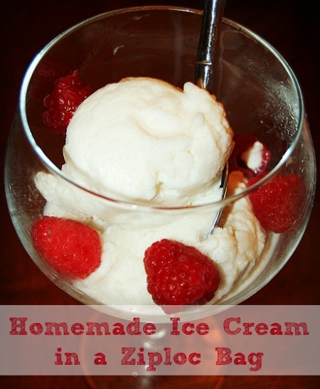 homemade ice cream in a bag