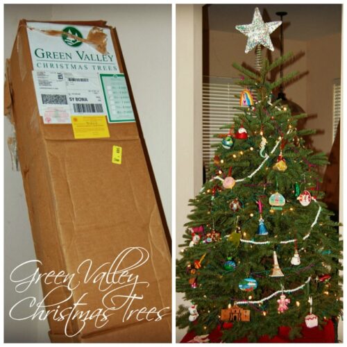 Full Noble Fir from Green Valley Christmas Trees {Review}