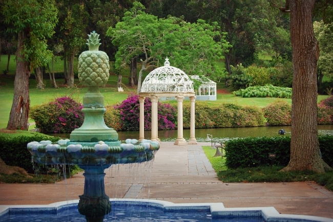 lanai pineapple plantation