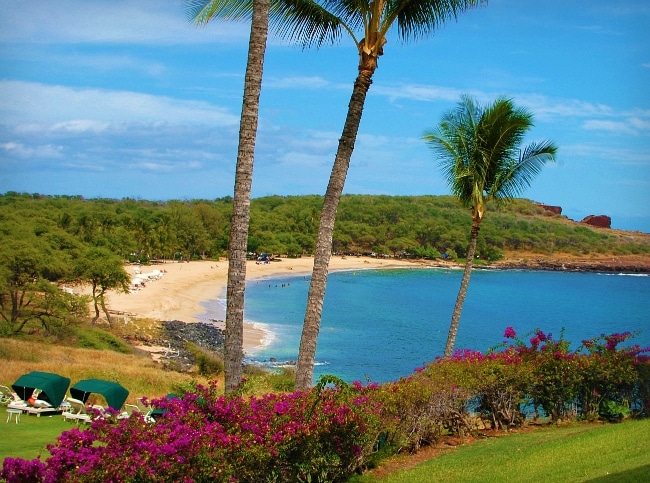 manele bay beach