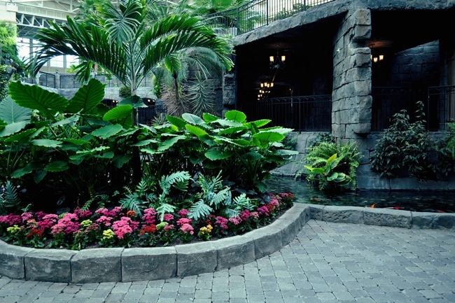 GaylordPalms atrium