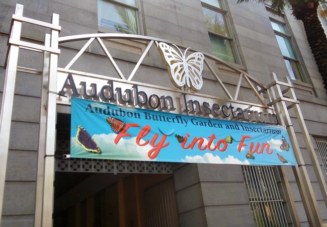 audubon insectarium