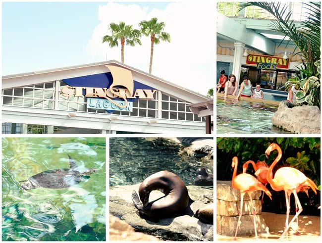 sea world c