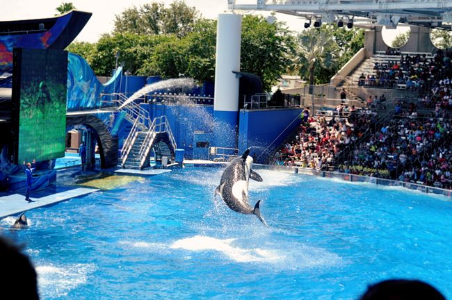 seaworld i