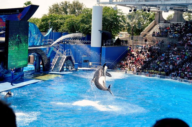 seaworld i