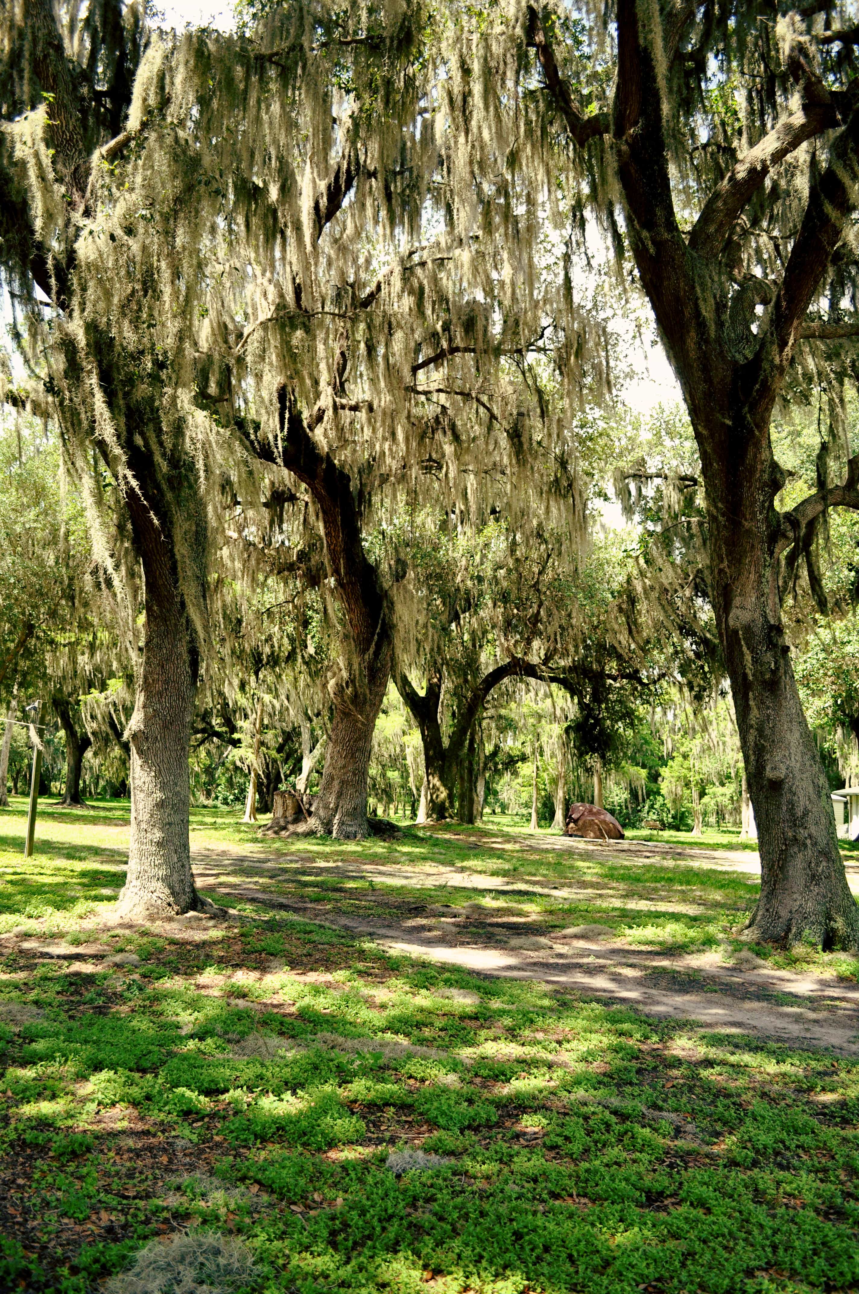 boggy creek picnic