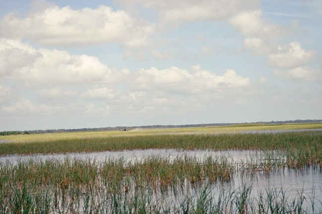 airboat tour kissimmee