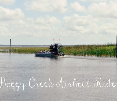 boggy creek airboat rides