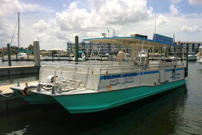 dolphin explorer cruise