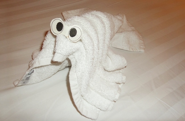 holland america towel animal