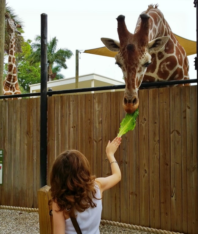 naples zoo