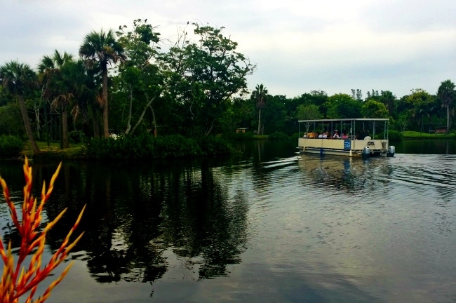 naples zoo primate cruise