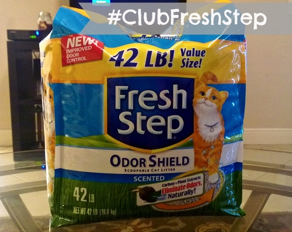 #clubfreshstep