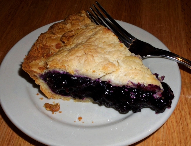 blueberry pie maine