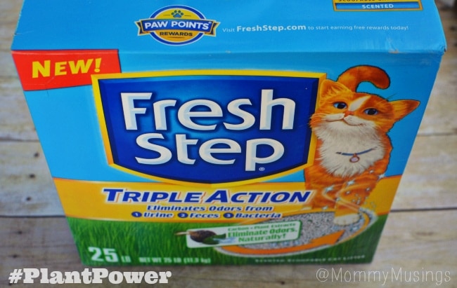 freshstepcatlitter