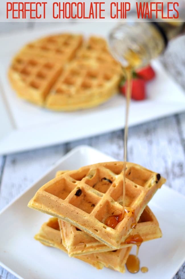 perfect chocolate chip waffles recipe