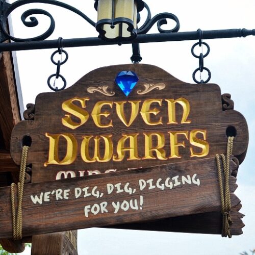 seven dwarfs mine train ride
