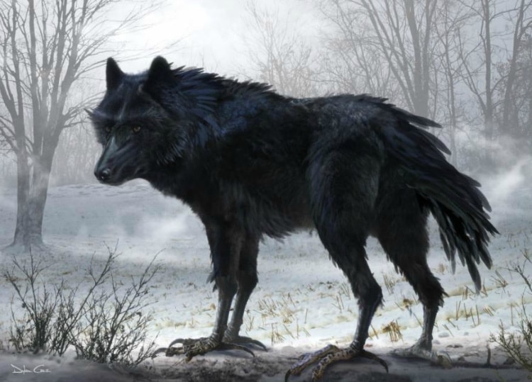 diaval wolf maleficent