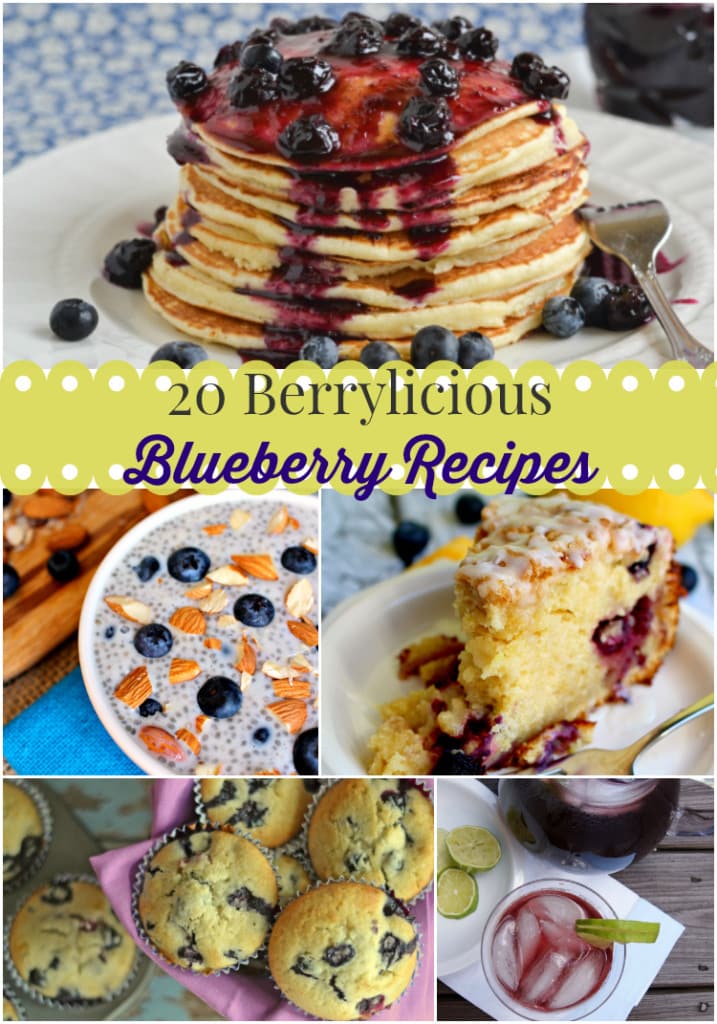 blueberry recipes