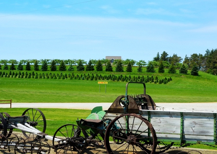 friske farm michigan