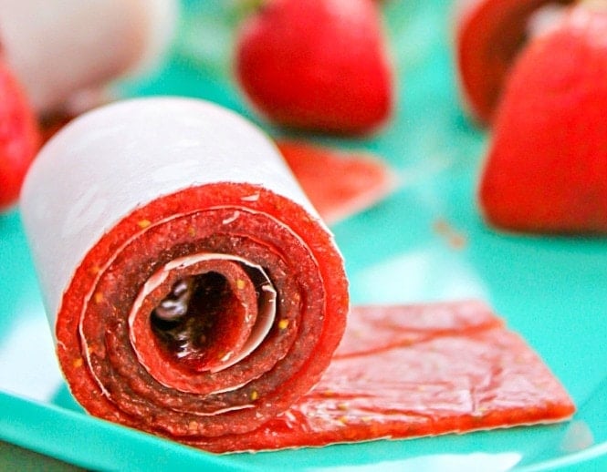 Homemade Fruit Roll Ups