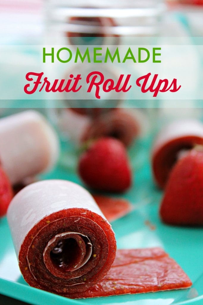 Homemade Fruit Roll Ups Recipe