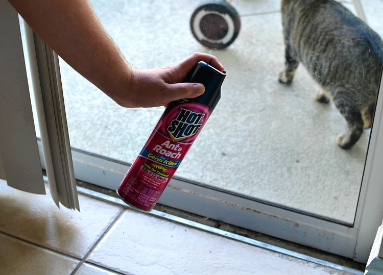 hotshot roach killer