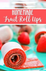 Homemade Fruit Roll Ups Recipe | Strawberry Fruit Leather