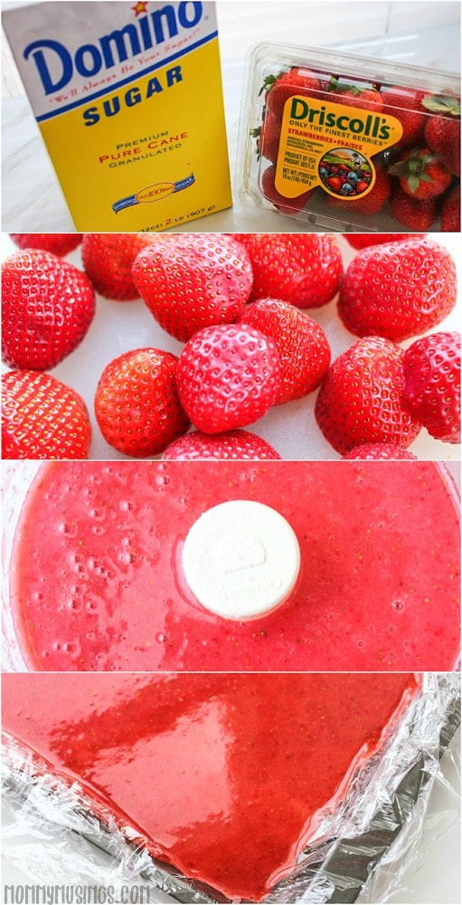 Homemade Fruit Roll Ups Recipe Strawberry Fruit Leather