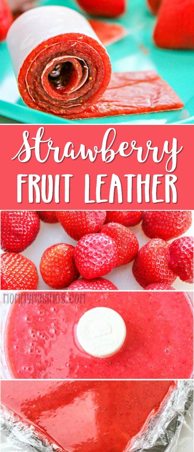 Homemade Fruit Roll Ups Recipe Strawberry Fruit Leather