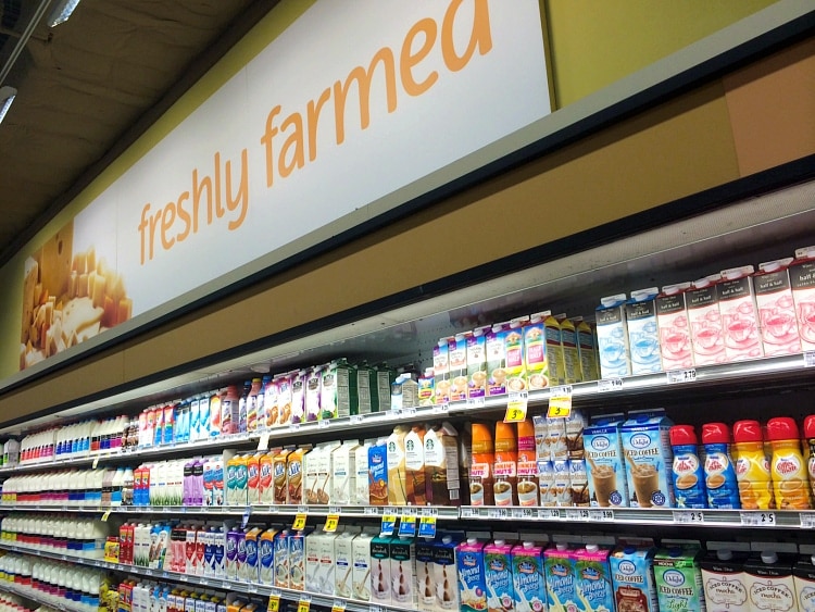 winn dixie lifeway kefir