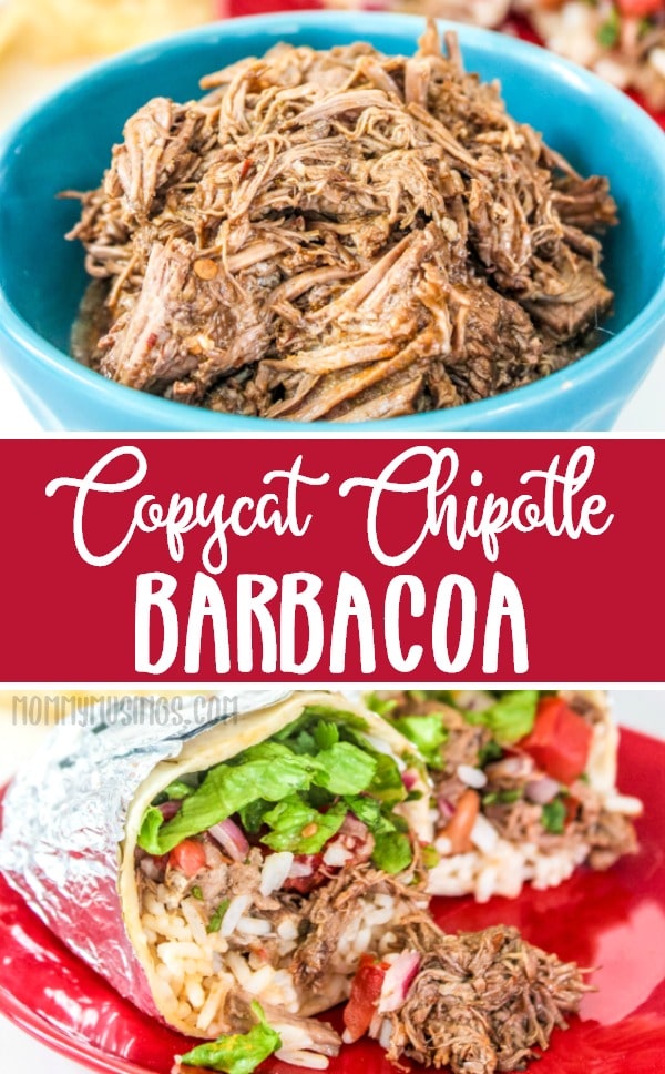 Copycat Chipotle Barbacoa Recipe - Slow Cooker Barbacoa