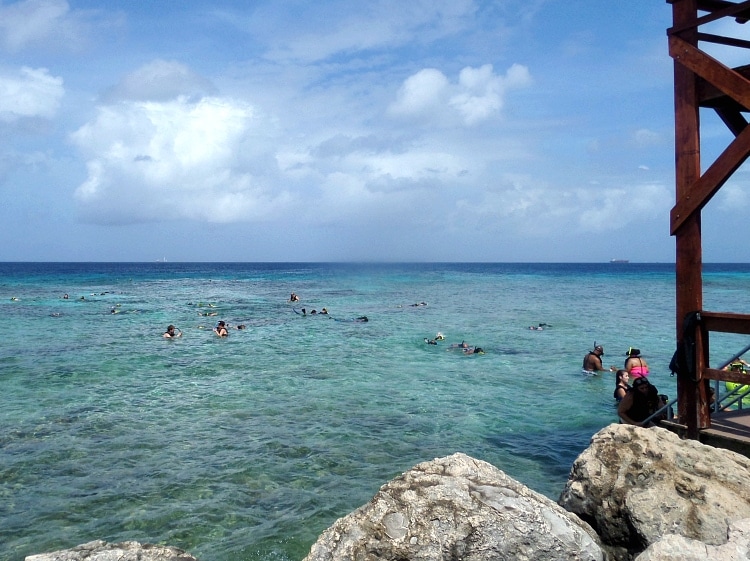 snorkeling in aruba