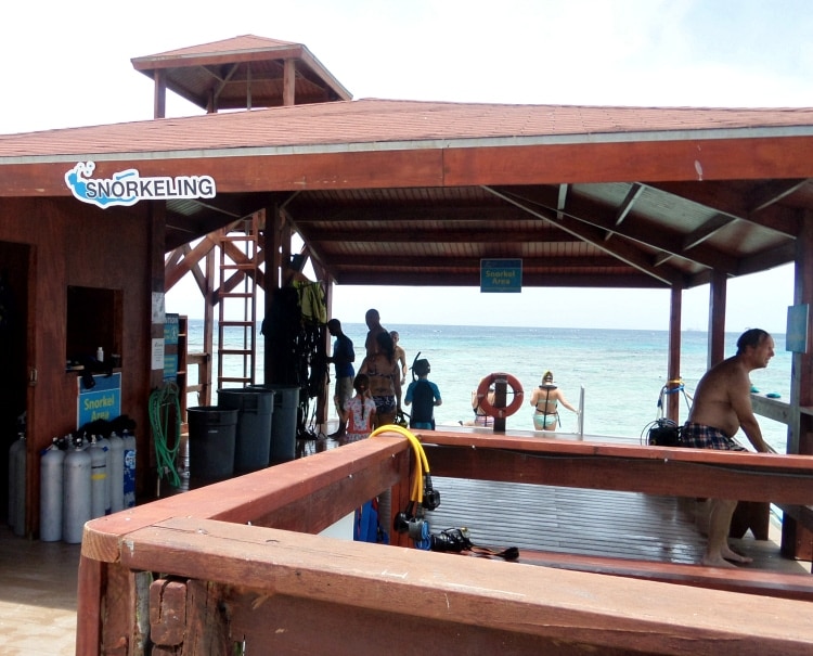 snorkeling de palm island