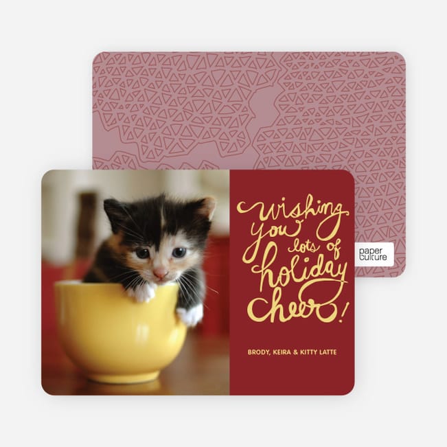 holiday-cheer-holiday-cat